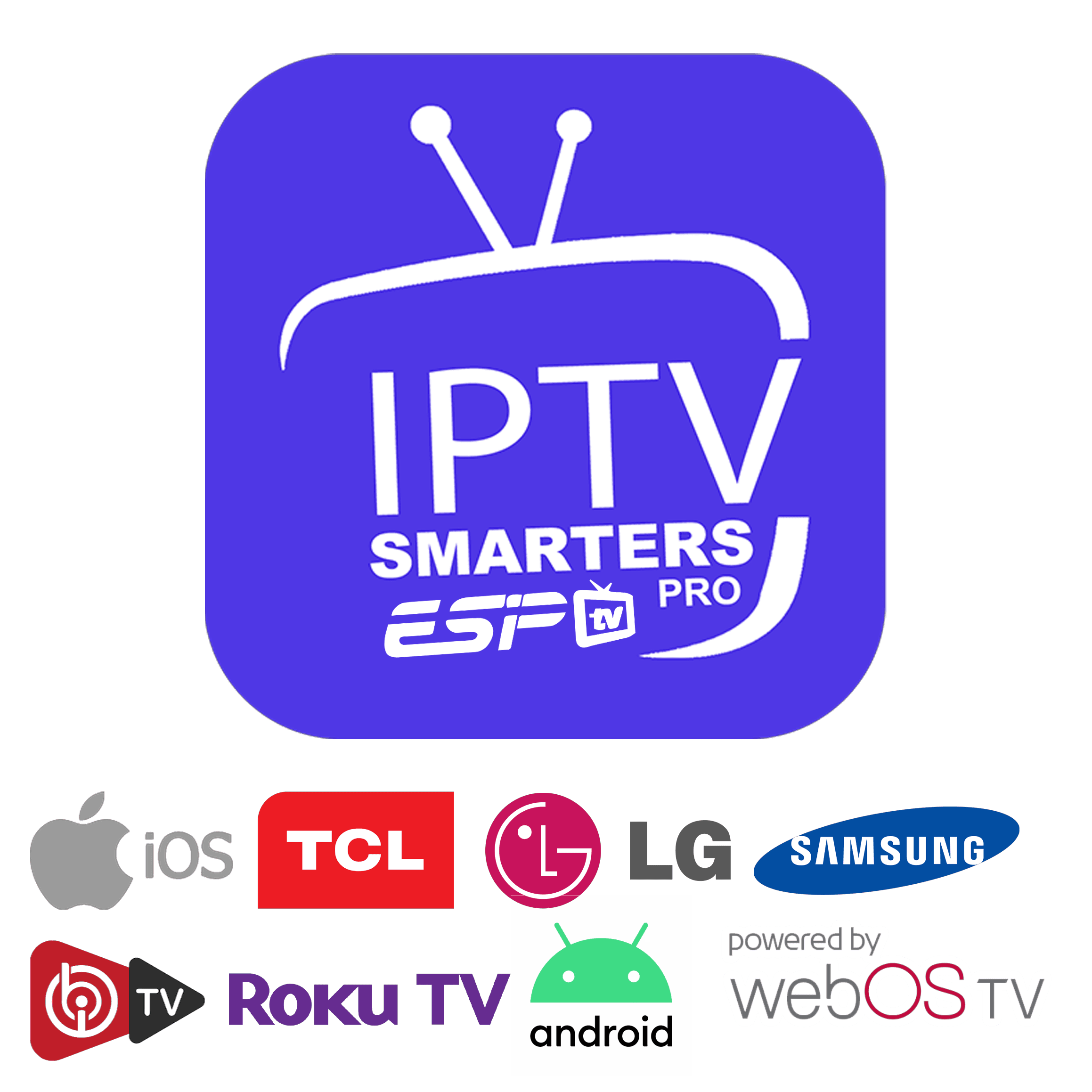 12Mois Smarter Player/IBO Pro
